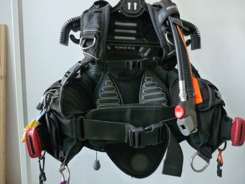 Tarierjacket dragon von mares - tarierjacket,
