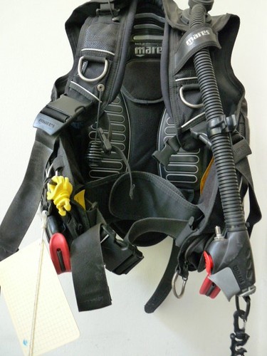 Tarierjacket dragon von - tarierjacket, mares